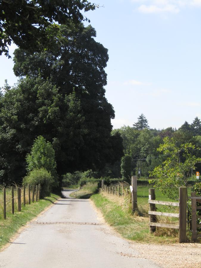 Home Farm Boreham Warminster Exterior foto